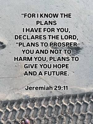 🙏Imagine if we would meditate more on what God says about our future, versus the vain imaginations that try to invade our minds about our future. #hope #faith #trust #jer2911 #pray #press #dontgiveup #bethebrightspot #light #encouragement #wotd #imagine 