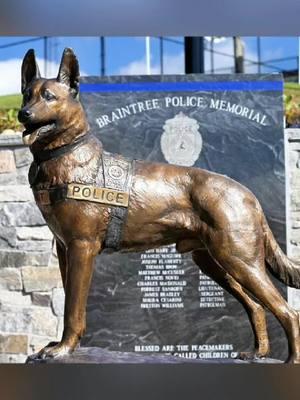 Final farewell of a hero K9 Kitt #k9 #dog #foryoupage #heartbreak #farewell #dogsoftiktok 