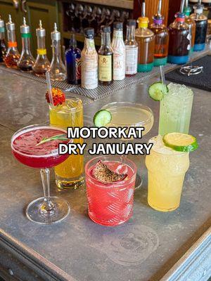 Dry January at Motorkat in the DMV! DRY JANUARY AT MOTORKAT @motorkattakoma // We all know Dry January is in full swing and Motorkat has you covered their lineup of 6 mocktails. I’m currently doing Dry January and I love seeing restaurants/bars creations! Motorkat has 3 new ones which feature @Seedlipdrinks and 3 traditional ones. I tried all of these and while they are all delicious, I definitely leaned towards the citrus ones. (Hosted) #dryjanuary #dryjanuary2024 #visitmoco #mocktails #dmvtiktok #takomapark #motorkat #dcfoodies #dmvfoodies 