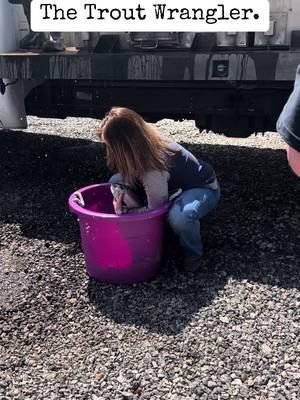 Stocking The Famous Tygart River in Grafton, WV. #troutfishing #trout #fishing #fish #Outdoors #wildlife #nature #nature #troutstocking #funny #funnyvideos 