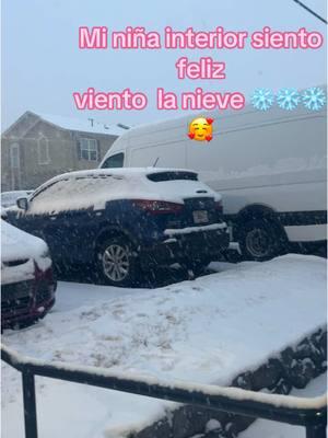 🥰🥰#❄️ #snow #nueve #atlanta #norcross #🥶 #paratii #foryoupage #viralvideo #feliz #alegria 