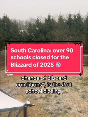 They said 90% chance of #blizzard ❄️😂🤷🏻‍♀️ #snowday #blizzard2025 #snowday2025 #winter #wintervibes #fyp #fypシ #tiktokviral #funny #funnytiktok #humor #repost #follow #followback #genx #MomsofTikTok #genxtiktokers #genxcrew #markedsafe 