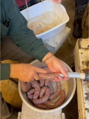 Here is how we process Deer in our home made butcher house! #homeprocessing #homestead #farmtofork @Bearded Butchers 