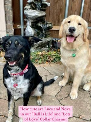 Take a look at how adorable @🌌 Nova & Luca ☀️ are in our Collar Charms! 🤭 Luca is wearing our “Ball Is Life” Collar Charm in the size “Jumbo” 🎾 Nova is wearing our “Lots Of Love” Collar Charm in the size “Regular” 💕 Match Nova and Luca today by ordering your very own Collar Charm through the 🔗 on our profile! 🐾 #dog #SmallBusiness #collarcharm #dogcollarcharm #resincollarcharm #dogmodels #adorabledogs 