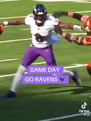 Playoffs time!! Go ravens #balitmore #baltimoreravens #ravens #playoffs2024 #NFLPlayoffs #nfl #nflfootball #footballtiktok #football #fypシ #fypシ #fyp #fypシ゚viral 