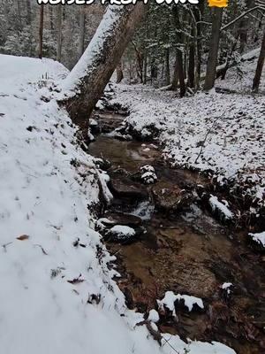 Is this #ASMR ?  This was from yesterday when, this disgusting mess started #NC #WNC #westernnc #snow #snowstorm #creek #creeksounds #northcarolina #ihatesnow #itscold #itscoldoutside #gross  #thisisgross #fyf 