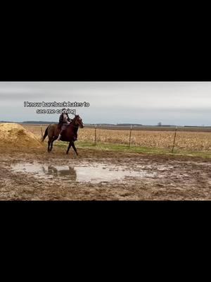 Before you guys come at me for the pony I only got on him bc he was bucking for my cousin so I got it out of him #BBR #horsesforlife🐴❤️ #fypシ゚viral #polebending #theshowarena #rodeo #barrelracer 