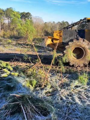 Some bogey action!! Those hills are a lot steeper then they look!! #fyppppppppppppppppppppppp #foryourpage #fyp #colsontimber #wingingit #fakeittillyoumakeit #makingithappen #amateurlogger #tigercatforestry #teamtigercat #635H 