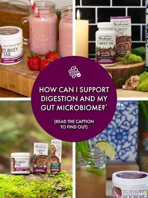 If you’re looking to balance your gut health and support your digestion (as well as your immune system!), check out Host Defense Turkey Tail and MycoBotanicals® Microbiome.* One of the most-studied beneficial mushroom species, Turkey Tail is well-known for not only supporting an engaged and balanced immune response, but also supporting beneficial microflora in the digestive and gastrointestinal ecosystem.* A natural prebiotic for the microbiome, Turkey Tail is the highlight of the Host Defense Digestion & Microbiome collection - so check out our supplement collection and find the support you’re looking for today!* #turkeytail #microbiome #hostdefense #poweredbymushroommycelium *These statements have not been evaluated by the FDA. This product is not intended to diagnose, treat, cure, or prevent any disease.