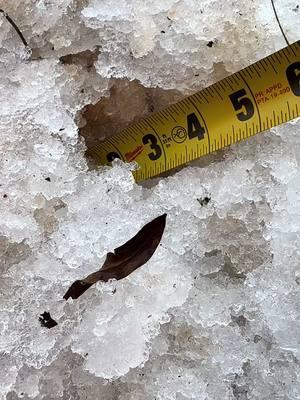 A solid 3” all day long.   #contractorswithouttapemeasures #winterstorm #charlotte #3inch #snow #winter #fyp 