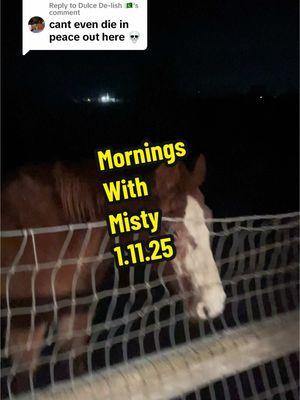 Replying to @Dulce De-lish 🇵🇰 #morningswithmisty #shesstillhere #oldmare #seniorhorselife #lifewithhorses #horsemomlife #funkranch #paintpony #pnwlife #