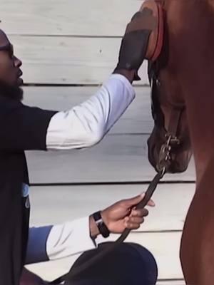 Josh Norman man… #tyjaes #joshnorman #carolinapanthers #washingtonredskins #mix #nfl #football #morganwallen #horses #viral 