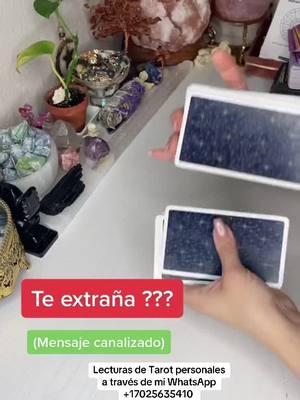 Lecturas de Tarot personales a través de mi WhatsApp +17025635410 #tarot #lecturadetarot #whimsicalblisstarot #lecturadecartas #tarotreader #etsytarot #tarotistasdetiktok 