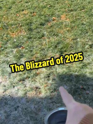 Here is an update on the blizzard that blanketed eastern NC last night. Pray for our recovery. #thomasfamilylandscaping #lawnanswers #snow #blizzard2025 #naturaldisaster 