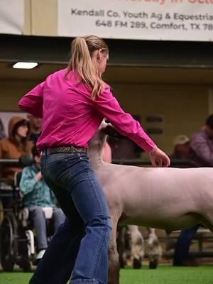 Legendary Kendall County 👊🔥 #stockshowlife #stockshowkid #devinsiskphotography #showpig #showlamb 