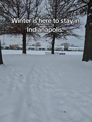 Indianapolis snow. #indianapolis #indy #downtownindy #fishersindiana #carmelindiana  #indianacheck  #indy317  #inwx #indianasnowstorm #Indianasnow2025 #indianapolissnow #Indianapolissnow2025 #indianawinter #winter #winterishere #midwestsnow #aesthetic #michigan #ohio 