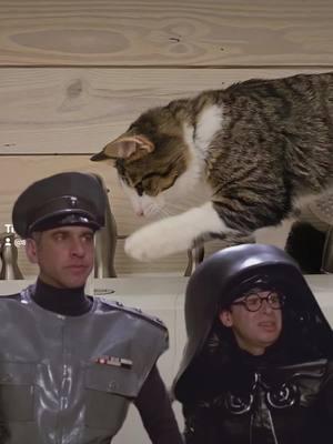 #CapCut #cat #catsoftiktok #spaceballs 