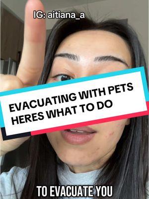 IG: aitiana_a  🤍 I hope this helped! #evacuating #petsafety #petsafetytips #pethealth #cathealth 