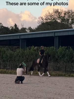 I believe that every horse has a story, and every rider shares a unique bond with their equine partner. Photography is the place i capture that connection—those fleeting, magical moments where heart, spirit, and movement come together in perfect harmony. It is about capturing the essence of a partnership that transcends time, language, and space.  #equestrian #florida #ancientartsdressage #arabian #arabianhorse #dressage #dressagearabians #arabianhorseassociation #fyp #fypシ゚viral #horse #horsesoftiktok #horsesonmyforyou #arabiandressagehorse #floridaequestrians #equestriansoftikok #equestriansofflorida #wellingtonfl #floridadressage #arabianhorseassociationofflorida #photography #photoshoot #photographer #equinephotography #equestrianphotographer #equestrianphotography #dressagephotography #dressagehorseportrait #wellingtonphotographer 