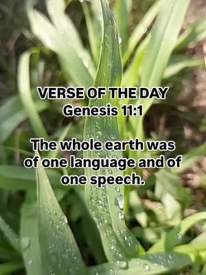 VERSE OF THE DAY  Genesis 11:1  The whole earth was of one language and of one speech.  #weekendwisdom #bible #bibleverse #bibleinspiration #biblestudy #verseoftheday #unstoppablefaith #friendship #stayencouraged #beinspired #JesusChristisLord #dailydevo #motivation #fyp #creatorsearchinsights #christiantiktok #christiantiktokcomunity 