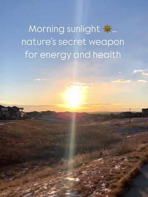 Did you know that morning sunshine does way more than just boost your mood? 🌞 Just 10 minutes of natural light can: ☀️ Reduce stress by increasing serotonin ☀️ Boost focus and mental clarity ☀️ Support a healthy metabolism ☀️ Balance hormones for better sleep ☀️ Strengthen your immune system with vitamin D ☀️ Reduce inflammation and promote wellness ☀️ Helps regulate your circadian rhythm  It’s free, easy, and one of the best ways to start your day! 🌿  Who’s making morning sunlight part of their routine?  Drop a ☀️ if you’re in! #MorningSunshine #NaturalEnergyBoost #HealthyHabits #WellnessTips #VitaminDBenefits #BoostYourMood #HealthyLiving #SunshineTherapy #DailyWellness #Frequencies 