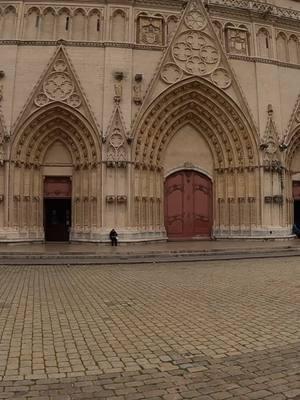 Saint-Jean-Baptiste Cathedral: Lyon’s Worship Core #stjeancathedralelyon #basilica #stjeans #festivaloflights #cathedral #lyon