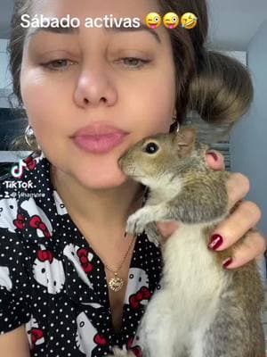 #ardillas 🐿️ pura adrenalina #🐿️🐿️ #viraltiktok #losanimalesmeimportan y mucho #viraltiktok #virales #virales #bendiciones #bonitosabado ###viraltiktok #videosviral #🐿️🐿️ #losanimalesmeimportan #amo los animales #🐿️🐿️ #🐿️🐿️ #viraltiktok #amo #kasardillitas mi travesura mi cosita #🐿️🐿️ #viraltiktok 