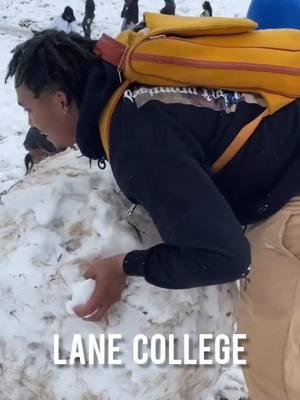 HBCU students in Tennessee and across the Southeast got the rare opportunity to enjoy a good ole fashioned Snow Day on the yard. Check out Lane College & Tennessee State Univ students enjoying it!  #TSU #Lane 📽: @d.cvrry @ebonyreneelee_ | @tennstateu 