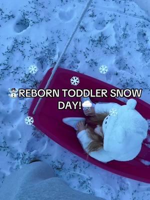 SNOW DAY with my reborn toddler Emerson!☃️❄️ • Artist: @pumpkindoodlebabies1 use code FOXY for 10% off! • Emerson is a hyper realistic reborn art doll, so no, she is not real, this video is for entertainment purposes only! • #xlittlefoxynurseryx #reborns #reborndoll #rebornmom #fakebaby #rebornbaby #reborncommunity #reborntherapy #therapydoll #artdoll #rebornroleplay #rebornsoftiktok #dollsoftiktok #reborntoddler #pumpkindoodlebabies #cammibypinglau #pdbemerson🤍 