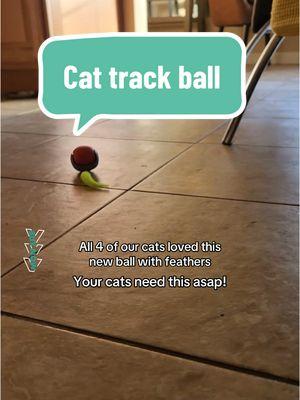 This is a great gift to buy for your cats, they will love you for it! My cats play with it a lot every day! #kittentoys #catballtrack #cutecats #catball #pettoys #cattoys 