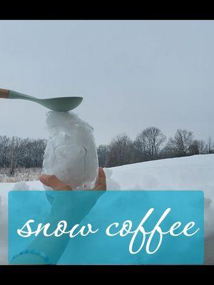 if you are an iced coffee person,use the snow instead of ice! #snowcoffee #snow #2025snow #snowlatte #protiencoffee 