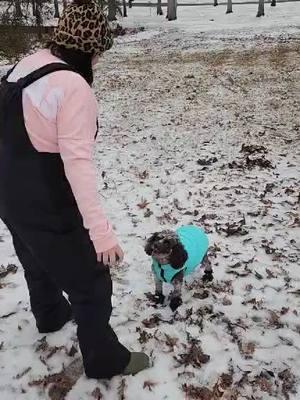 We didn’t get a lot of snow but she had THE BEST SNOW DAY ever! She is one spoiled little dog in her little jacket and boots! @Jason Fleming #snowday #snowpuppy #snowpup #snow2025 #SCSnow #beltonsc #newyearsnow 