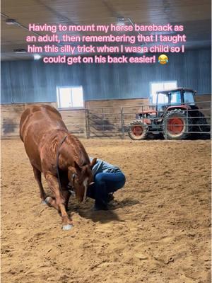 Oh how I love you, Rock!!💜🐴  #aqha#quarterhorse#horse#equestrian#barrelracer#showhorse#performancehorse#barrelhorse#trickhorse#gelding#sorrel#bestfriend 