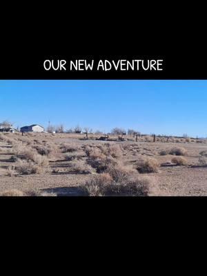 #newbeginnings #silverstate #cheerstonewadventures #buydirt #nevadadesert #highdesert #homemeansnevada 