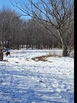 #sleddingfail #sledfail #failarmy #fall #sleddogs #xlbullies #funny #fallfail 