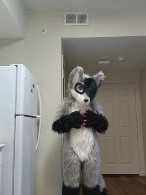 Tail bigger than my future. I look like a raccoon again! #fursuit #fursuits #fursuiter #fursuiters #fursuiting #furry #furries #fursuitersoftiktok #fursuitsoftiktok #furriesoftiktok #raccoon #raccoons #raccoonsoftiktok #raccoonfursuit #raccoonfursuiter #rokidokirockstar #fyp #foryou #foryoupage #trending 