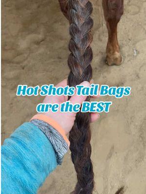 @Hot Shot’s Tail Bags makes the BEST tail bags! Ask for the satin lined canvas shell version, they’re my favorite! #horsetok #horses #horsecare #horsetails #tailcare #maneandtail #tailcareroutine #tailbags #horsesoftiktok 