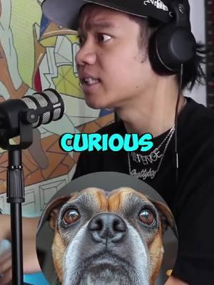 Dog bridge story 😱 #theory #scarytheory #jumpersjumppodcast #scarystories 