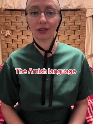 #examishgirl #amish #amishtiktok #amishtok #amishwomen #amishbooks #booksoftiktok #BookTok #books #amishlanguage 