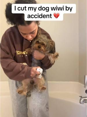 Omg OMGGG!! What should I do ? I need a groomer #yOrkie #yorkshire #yorkiesoftiktok #yorkiemom #yorkshireterrier #yorkies #yorkielover #teacupdogs #yorkieterrier #teacuppuppies #teacupdogs #groomer #groomergonewrong #groomersoftiktok #grooming #groomingtips #groominghacks #failvideo #failhaircut #fy #fyp #foryourpage #foryoupageofficiall #fypage #fyp≥°viral #yorkielover 