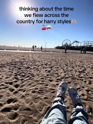 how lucky are we 🫶🏼🪩🍒💗 #harrystyles #hs #harry #loveontour #lot #harrystylesloveontour #concert #concert #concertszn #LA #california #tanamongeau #daviddobrik #lucky #foryoupage #foryou #fyp #travel #loveontour2022 