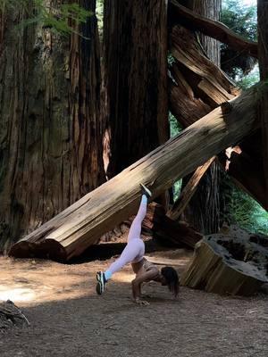 Handstands with Giants  🌲🤍 #Handstand #Giant #Redwood #RedwoodNationalPark #Challenge #Adventure #Gymnastics #Calisthenics