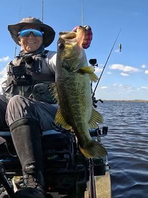 Roughing it out down here in the#everglades #southfloridafishing #NativeWatercraft #FishingIsGoodHere #WomensFishingFederation #KBF #KayakBassFishing #Bass #KayakFishing #GoProHero13 #bassfishing #fishmonkeygloves #bendingbranches #columbiapfg #NativeSlayerMax10 #Swimbait @gopro