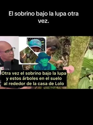 Esto habré dos nuevas hipótesis en el caso de Lolo. Árboles en el suelo alrededor de la casa de Lolo y la similitud de la gorra del sobrino Daniel. #lolomanabao #jarabacoa  #manabaojarabacoa 