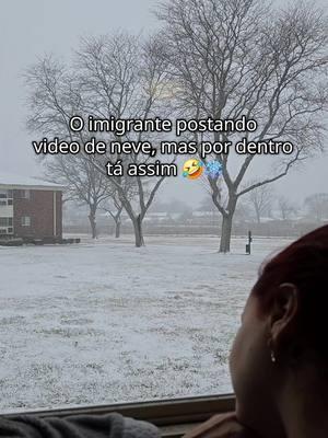 Quem nao fica assim? 🥲 #imigrantesbrasileiros #imigrante #brasileirosnoseua #brasileirospelomundo #brasileirosnagringa #snowday #morandofora #morandonoseua 