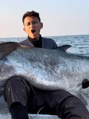 Dogtooth tuna or Chinese seerfish?? Whatever it is, it's massive. Huge props to @mashangyun_sportfishing for landing this beast. . . . . . . . . . . . . #BDOutdoors #bdoutdoorsdotcom #bloodydecks #offshorefishing #socal #fisherman #anglers