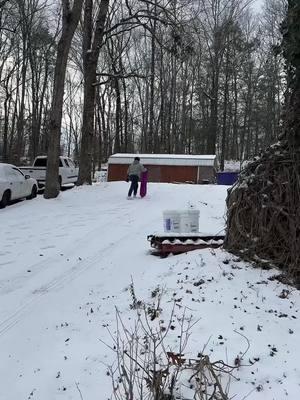 #WinterFun #SnowDayAdventures #PlayingInTheSnow #SnowMuchFun #WinterWonderland #ColdWeatherJoy #SnowDayMemories #FrostyAdventures #OutdoorWinterPlay #LoveTheSnow