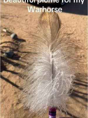 #nativetiktok #dinetiktok #navajotiktok #Nativetiktok #unitedindigenous #warpony it was once said to me to protect your horse and your family while riding, over time even in ceremony we park are vehicles around like they are our horses, thank you to @Emerson Long for blessing me with this beautiful plume for my horse💪🏽❤️🪶🪶🪶🪶 thank you I appreciate you more then I can express, go and visit and message him if you are interested in his beautiful craftsmanship 💪🏽