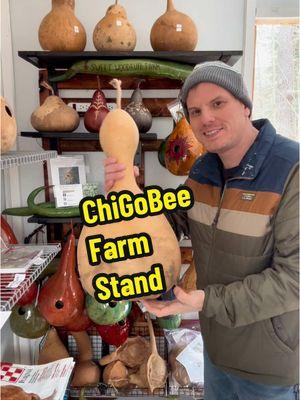 Want to stock up the farm stand with me? 🐣🎨🐐 This is Chigobee Farm Stand located play 156 Fickett Road in Pownal Maine! Come check us out! 🧀@ChiGoBee Farm #shoplocal #maine #farmstand #feta #gourds #bitdhouse #gourdart #growyourcanvas #sweetwoodrufffarm #chigobeefarm