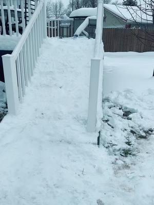 Not exactly what we envisioned but it is fun #playoutside #snow #snowplay #winter #winterstorm #louisville #ky #louisvilleky #kentucky #mother #daughter #motherdaughter #ramp #sled #sledding 